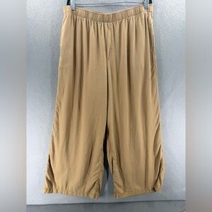 American Eagle Pants Womens XL Wide Leg Linen Blend Tan Baggy Coastal Minimalist